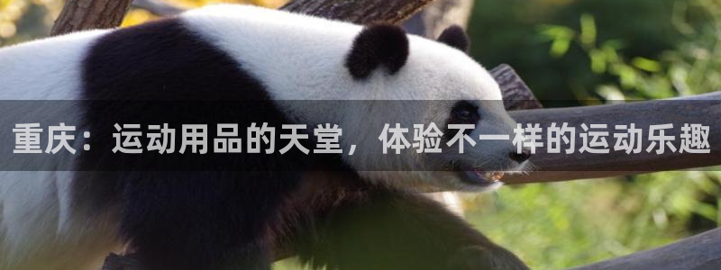 征途国际官方客服电话:重庆:运动用品的天堂,体验不一样的运动