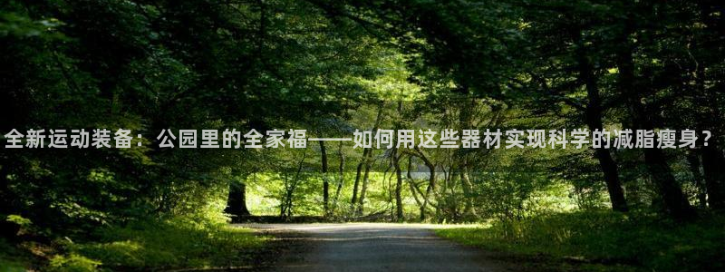 征途国际官网:全新运动装备:公园里的全家福——如何用这些器材