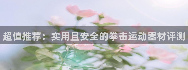 征途国际娱乐是那个系列的台子:超值推荐:实用且安全的拳击运动