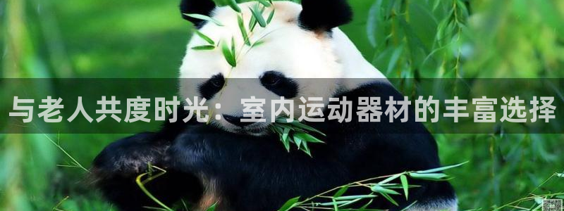 征途国际官方:与老人共度时光:室内运动器材的丰富选择